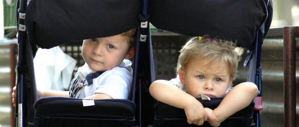 Top 5 Best Double Jogging Strollers