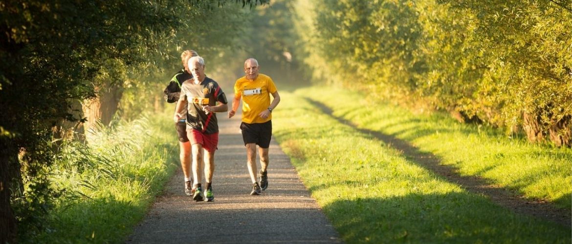 Best Treadmill for Seniors