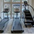 Best Treadmill for Weight Loss