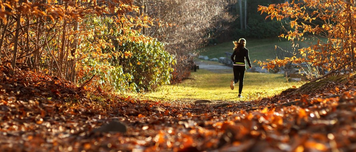 Best Treadmills with Incline