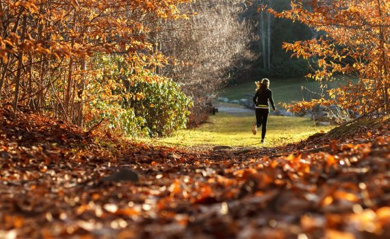 Best Treadmills with Incline