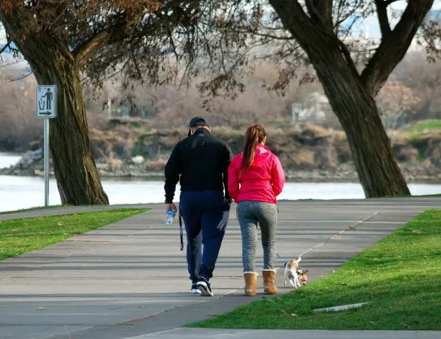 Benefits of walking with dog